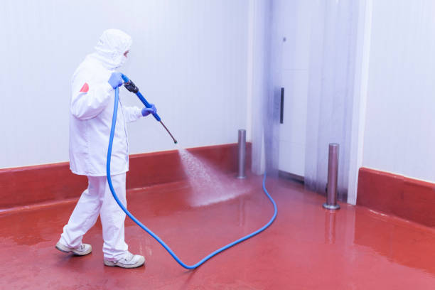 Best Soft Washing for Delicate Surfaces in Providence, UT